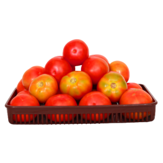 Maya Tomato From Known You Seed (India)-KYI